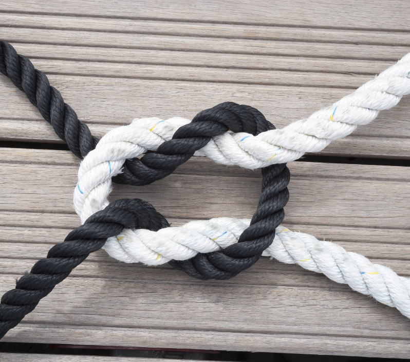 Black and white ropes in a knot